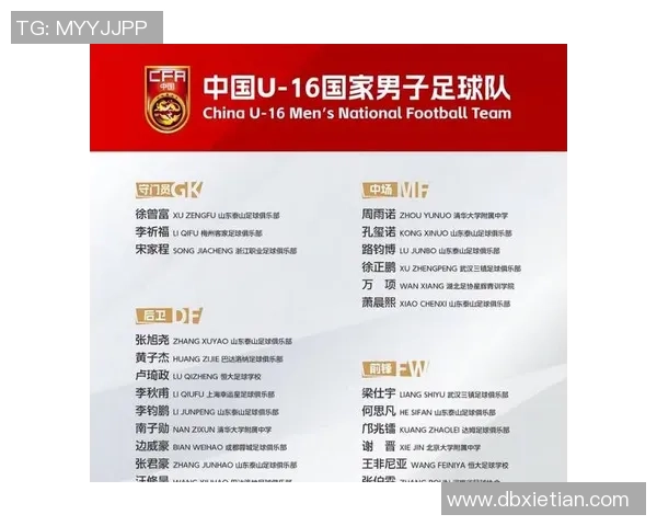 中国足球十二大球星排名榜揭秘 谁将成为未来的领军人物 中国足球十二大球星排名榜揭秘 谁将成为未来的领军人物